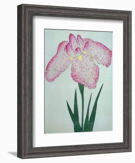 Tanka No-Koe Book of a Pink Iris-Stapleton Collection-Framed Giclee Print