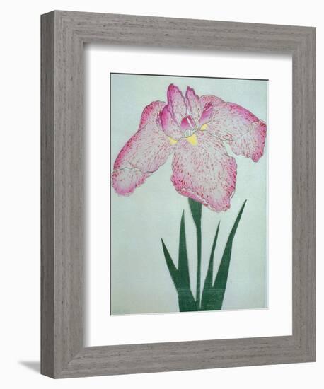 Tanka No-Koe Book of a Pink Iris-Stapleton Collection-Framed Giclee Print