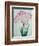 Tanka No-Koe Book of a Pink Iris-Stapleton Collection-Framed Giclee Print