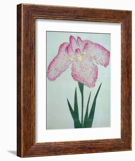 Tanka No-Koe Book of a Pink Iris-Stapleton Collection-Framed Giclee Print