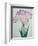 Tanka No-Koe Book of a Pink Iris-Stapleton Collection-Framed Giclee Print