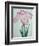 Tanka No-Koe Book of a Pink Iris-Stapleton Collection-Framed Giclee Print