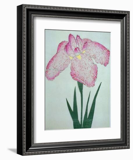 Tanka No-Koe Book of a Pink Iris-Stapleton Collection-Framed Giclee Print