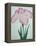 Tanka No-Koe Book of a Pink Iris-Stapleton Collection-Framed Premier Image Canvas