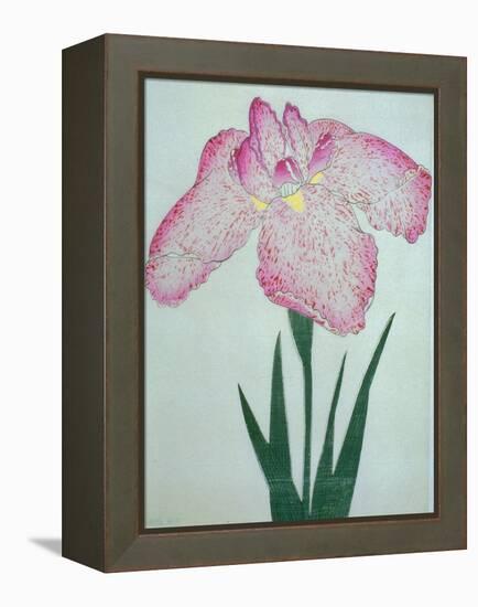 Tanka No-Koe Book of a Pink Iris-Stapleton Collection-Framed Premier Image Canvas