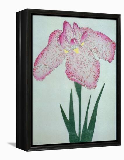 Tanka No-Koe Book of a Pink Iris-Stapleton Collection-Framed Premier Image Canvas