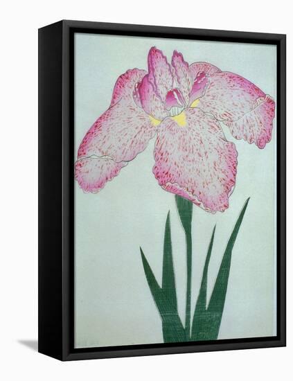 Tanka No-Koe Book of a Pink Iris-Stapleton Collection-Framed Premier Image Canvas