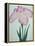 Tanka No-Koe Book of a Pink Iris-Stapleton Collection-Framed Premier Image Canvas