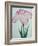 Tanka No-Koe Book of a Pink Iris-Stapleton Collection-Framed Giclee Print