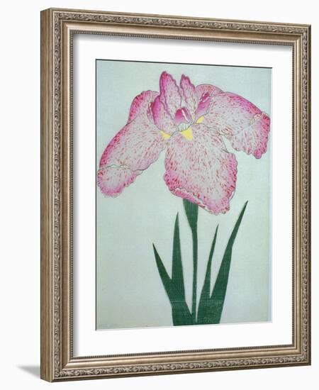 Tanka No-Koe Book of a Pink Iris-Stapleton Collection-Framed Giclee Print