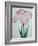 Tanka No-Koe Book of a Pink Iris-Stapleton Collection-Framed Giclee Print