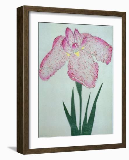 Tanka No-Koe Book of a Pink Iris-Stapleton Collection-Framed Giclee Print