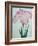 Tanka No-Koe Book of a Pink Iris-Stapleton Collection-Framed Giclee Print