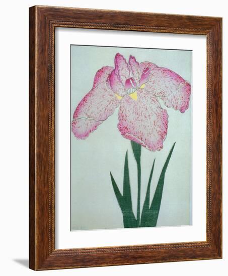 Tanka No-Koe Book of a Pink Iris-Stapleton Collection-Framed Giclee Print