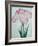 Tanka No-Koe Book of a Pink Iris-Stapleton Collection-Framed Giclee Print