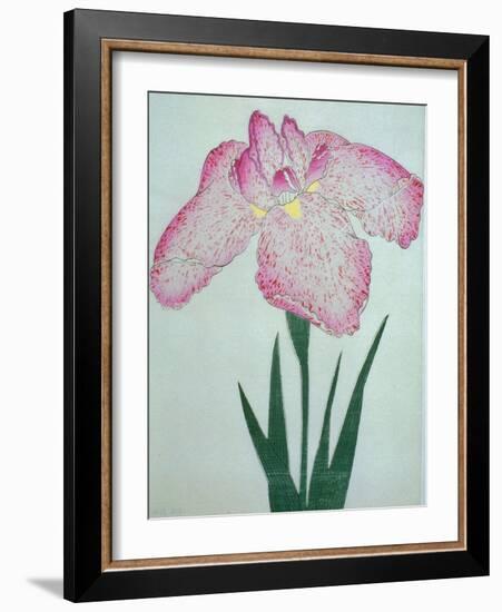 Tanka No-Koe Book of a Pink Iris-Stapleton Collection-Framed Giclee Print