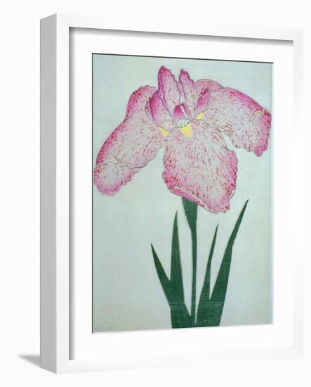 Tanka No-Koe Book of a Pink Iris-Stapleton Collection-Framed Giclee Print