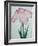 Tanka No-Koe Book of a Pink Iris-Stapleton Collection-Framed Giclee Print