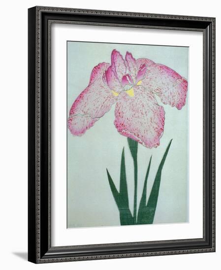 Tanka No-Koe Book of a Pink Iris-Stapleton Collection-Framed Giclee Print