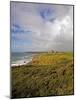 Tankardstown Copper Mine, Copper Coast, County Waterford, Ireland-null-Mounted Photographic Print