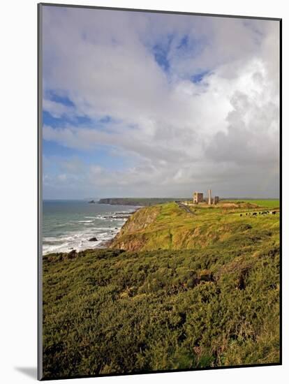 Tankardstown Copper Mine, Copper Coast, County Waterford, Ireland-null-Mounted Photographic Print