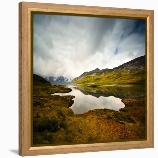 Tannensee-Philippe Sainte-Laudy-Framed Premier Image Canvas