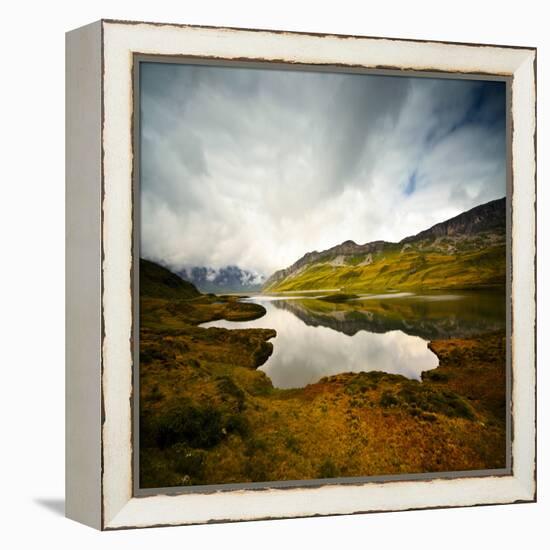 Tannensee-Philippe Sainte-Laudy-Framed Premier Image Canvas