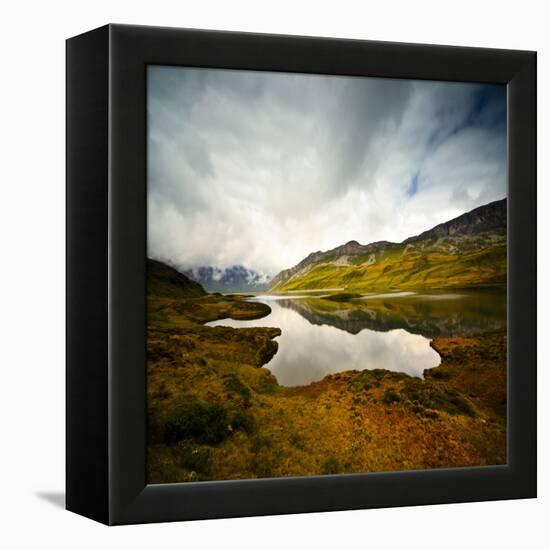 Tannensee-Philippe Sainte-Laudy-Framed Premier Image Canvas