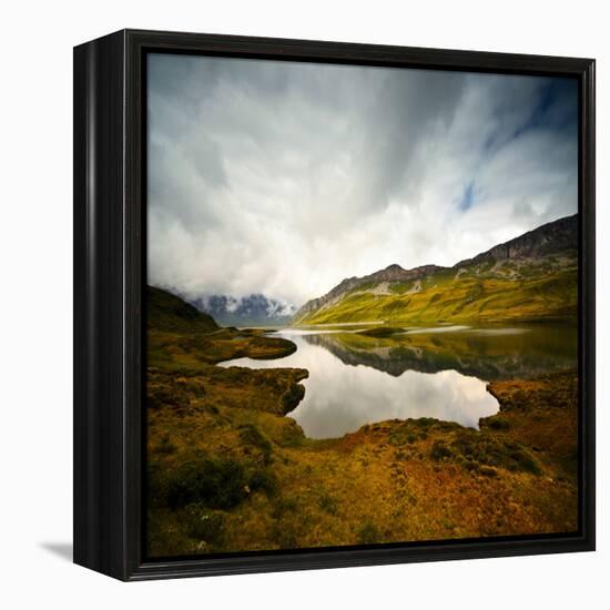 Tannensee-Philippe Sainte-Laudy-Framed Premier Image Canvas