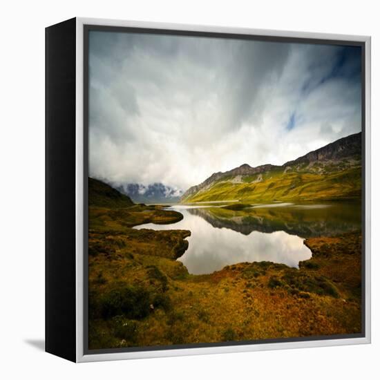 Tannensee-Philippe Sainte-Laudy-Framed Premier Image Canvas