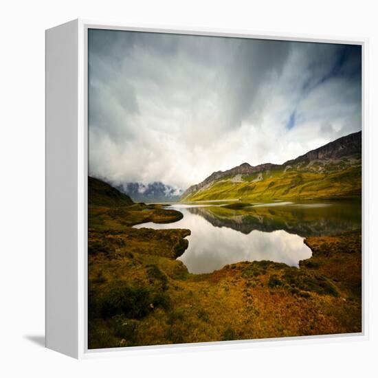 Tannensee-Philippe Sainte-Laudy-Framed Premier Image Canvas