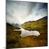 Tannensee-Philippe Sainte-Laudy-Mounted Photographic Print