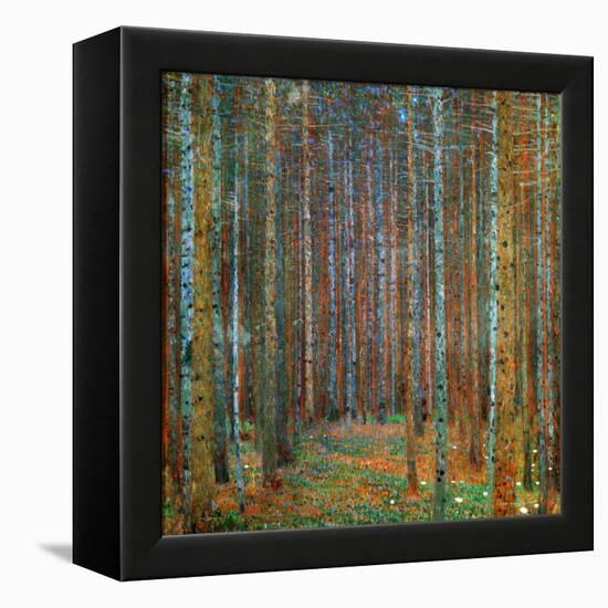 Tannenwald (Pine Forest), 1902-Gustav Klimt-Framed Premier Image Canvas