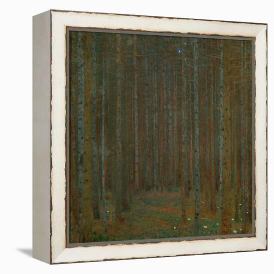 Tannenwald (Pine Forest), 1902-Gustav Klimt-Framed Premier Image Canvas