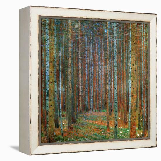 Tannenwald (Pine Forest), 1902-Gustav Klimt-Framed Premier Image Canvas