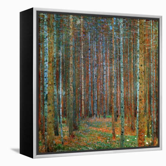 Tannenwald (Pine Forest), 1902-Gustav Klimt-Framed Premier Image Canvas