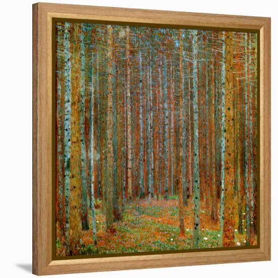 Tannenwald (Pine Forest), c.1902-Gustav Klimt-Framed Stretched Canvas