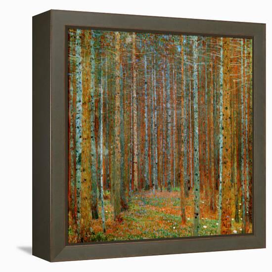 Tannenwald (Pine Forest), c.1902-Gustav Klimt-Framed Stretched Canvas