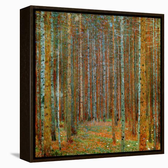 Tannenwald (Pine Forest), c.1902-Gustav Klimt-Framed Stretched Canvas