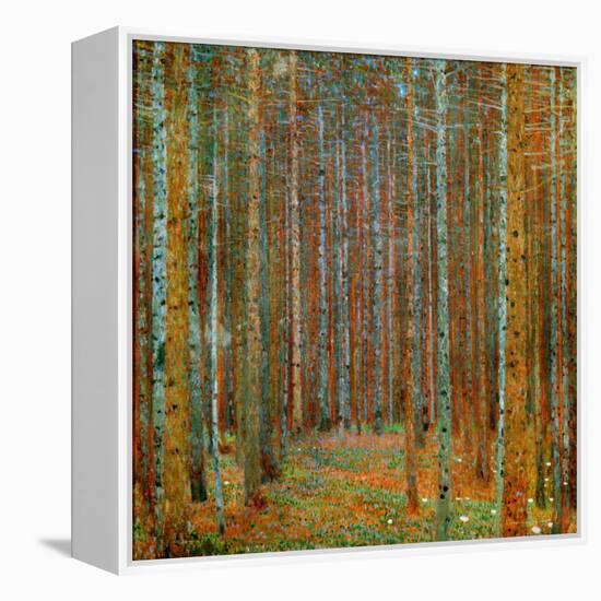 Tannenwald (Pine Forest), c.1902-Gustav Klimt-Framed Stretched Canvas