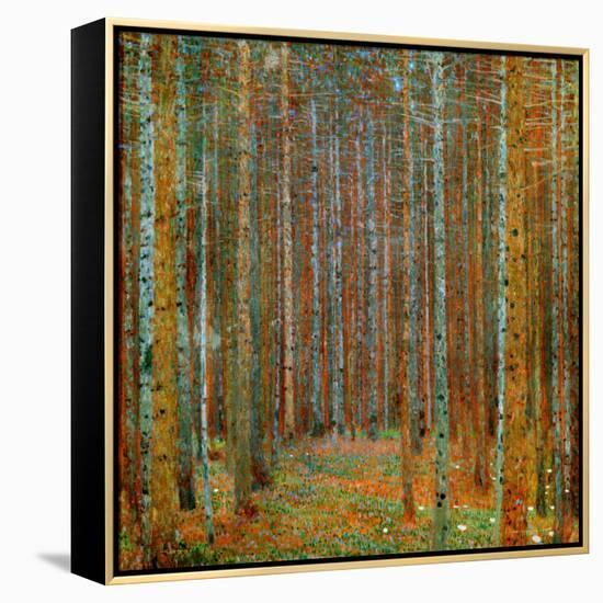 Tannenwald (Pine Forest), c.1902-Gustav Klimt-Framed Stretched Canvas