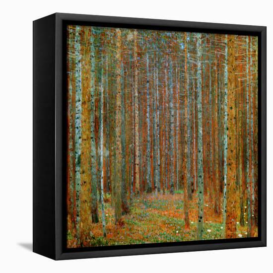 Tannenwald (Pine Forest), c.1902-Gustav Klimt-Framed Stretched Canvas