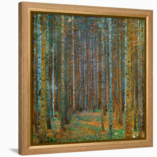 Tannenwald (Pine Forest), c.1902-Gustav Klimt-Framed Stretched Canvas