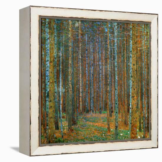 Tannenwald (Pine Forest), c.1902-Gustav Klimt-Framed Stretched Canvas