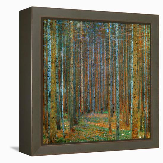 Tannenwald (Pine Forest), c.1902-Gustav Klimt-Framed Stretched Canvas