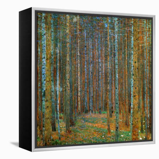 Tannenwald (Pine Forest), c.1902-Gustav Klimt-Framed Stretched Canvas