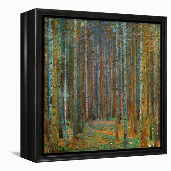 Tannenwald (Pine Forest), c.1902-Gustav Klimt-Framed Stretched Canvas