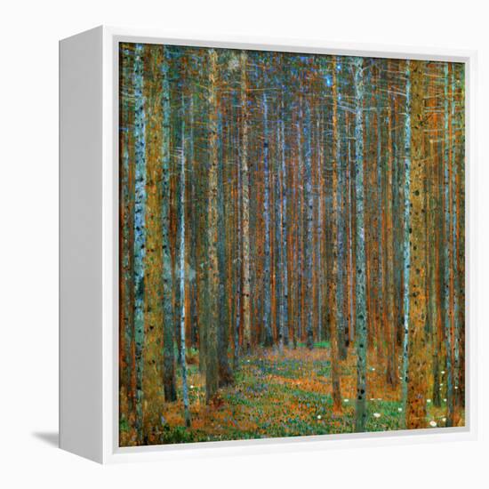 Tannenwald (Pine Forest), c.1902-Gustav Klimt-Framed Stretched Canvas