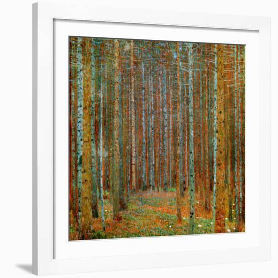 Tannenwald (Pine Forest), c.1902-Gustav Klimt-Framed Giclee Print