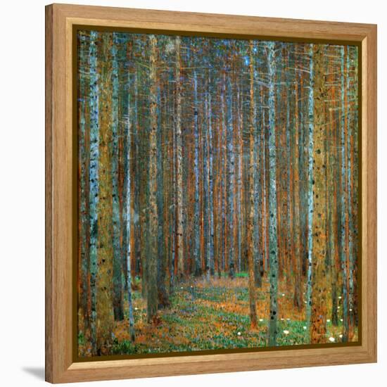 Tannenwald (Pine Forest), c.1902-Gustav Klimt-Framed Stretched Canvas